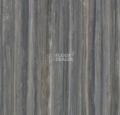 Кварцвиниловые полы Marmoleum Modular t5237 black sheep фото 1 | FLOORDEALER